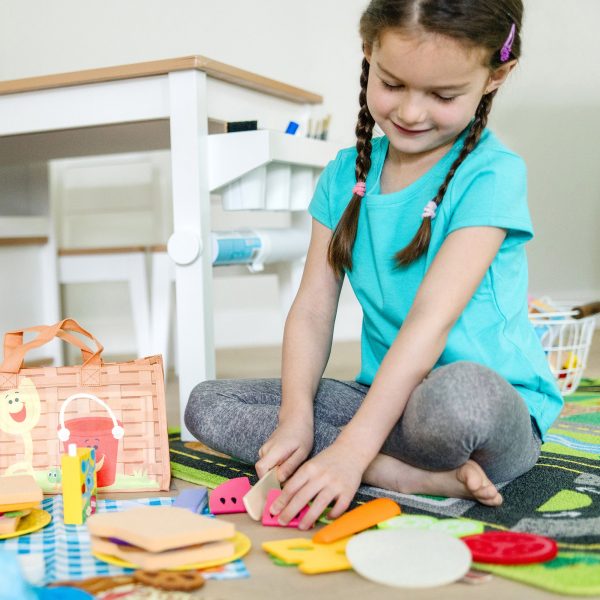 Blue's Clues & You! Share with Blue Picnic Play Set - Image 5