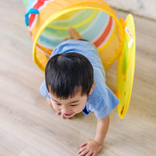 Giddy Buggy Tunnel - Image 5