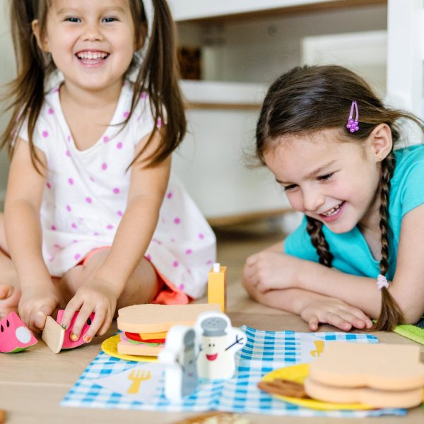 Blue's Clues & You! Share with Blue Picnic Play Set - Image 7